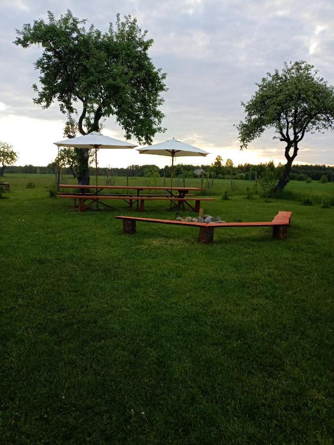 Agroturystyka Podlasie Dobrzyniewo Duze Kültér fotó