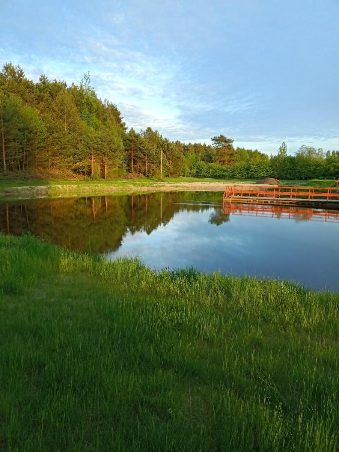 Agroturystyka Podlasie Dobrzyniewo Duze Kültér fotó